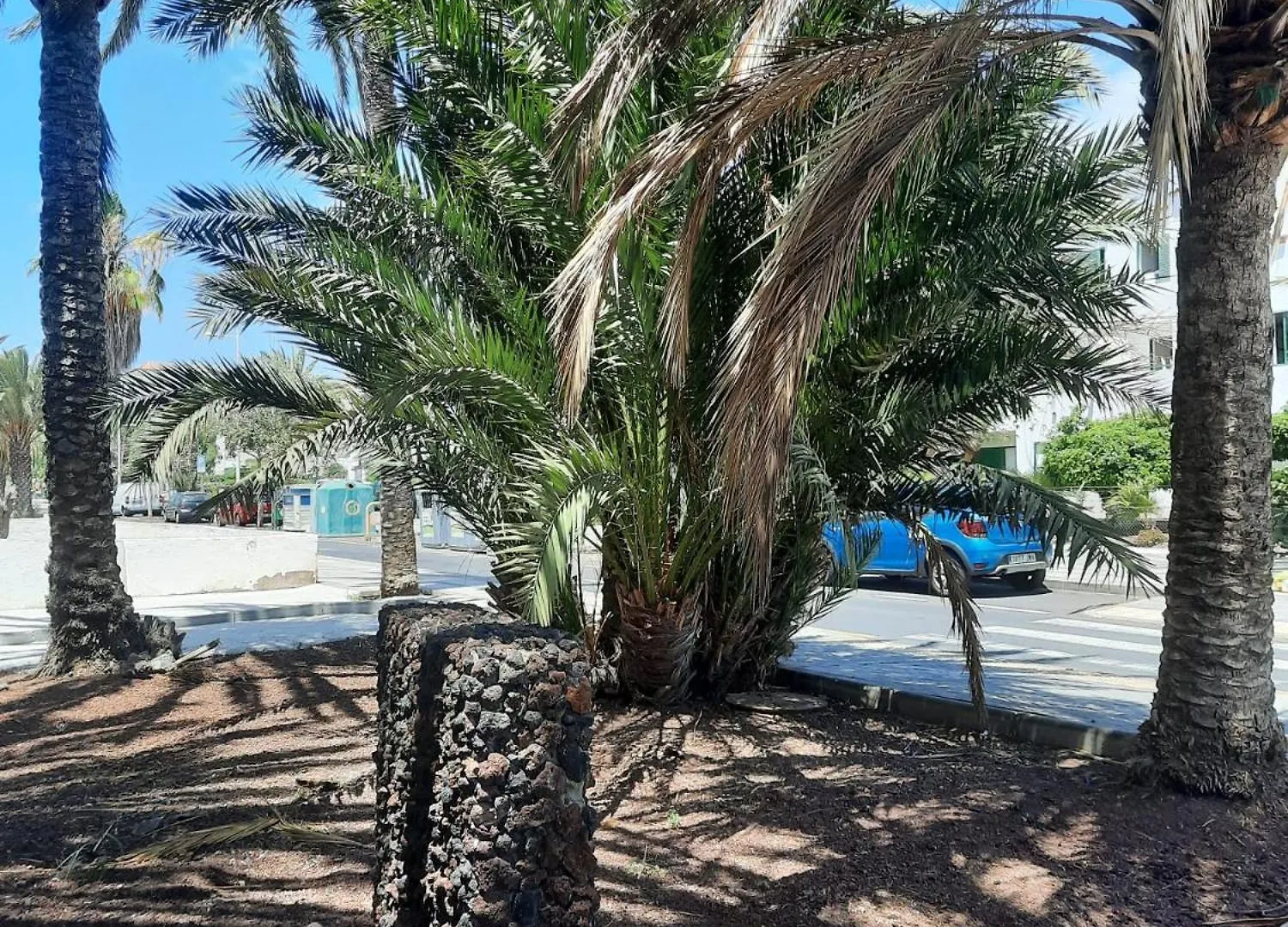 דירות ארונה Avenna House In Costa Del Silencio